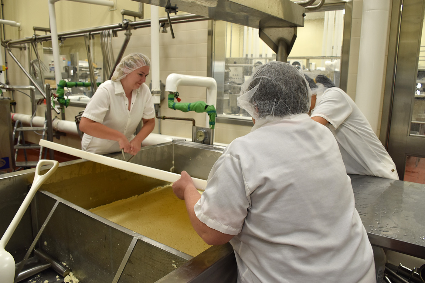 Cal Poly is gouda making cheese: Student-run creamery takes home 2 national awards ...
