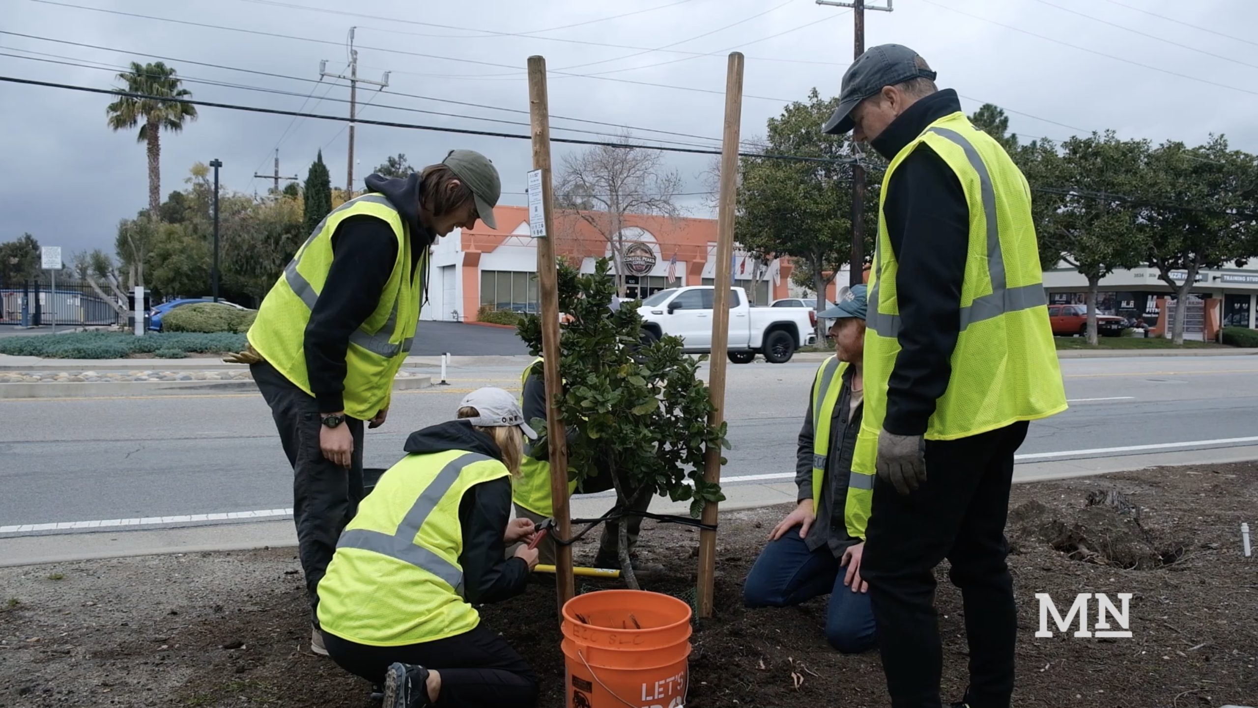 WATCH: Cal Poly Students and Alumni Plant Trees in Urban Areas ...