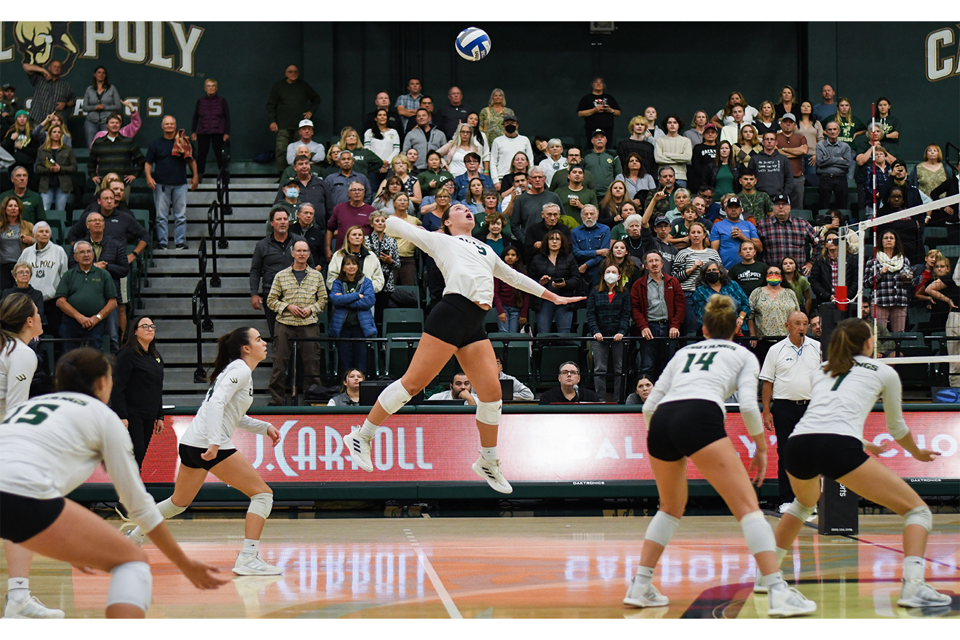 With no seniors on the team, Cal Poly Volleyball prepares for Big West ...