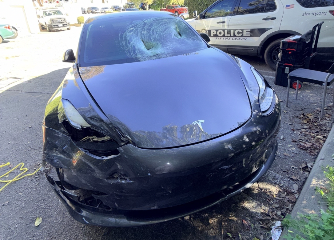 Cal Poly student arrested for hit and run