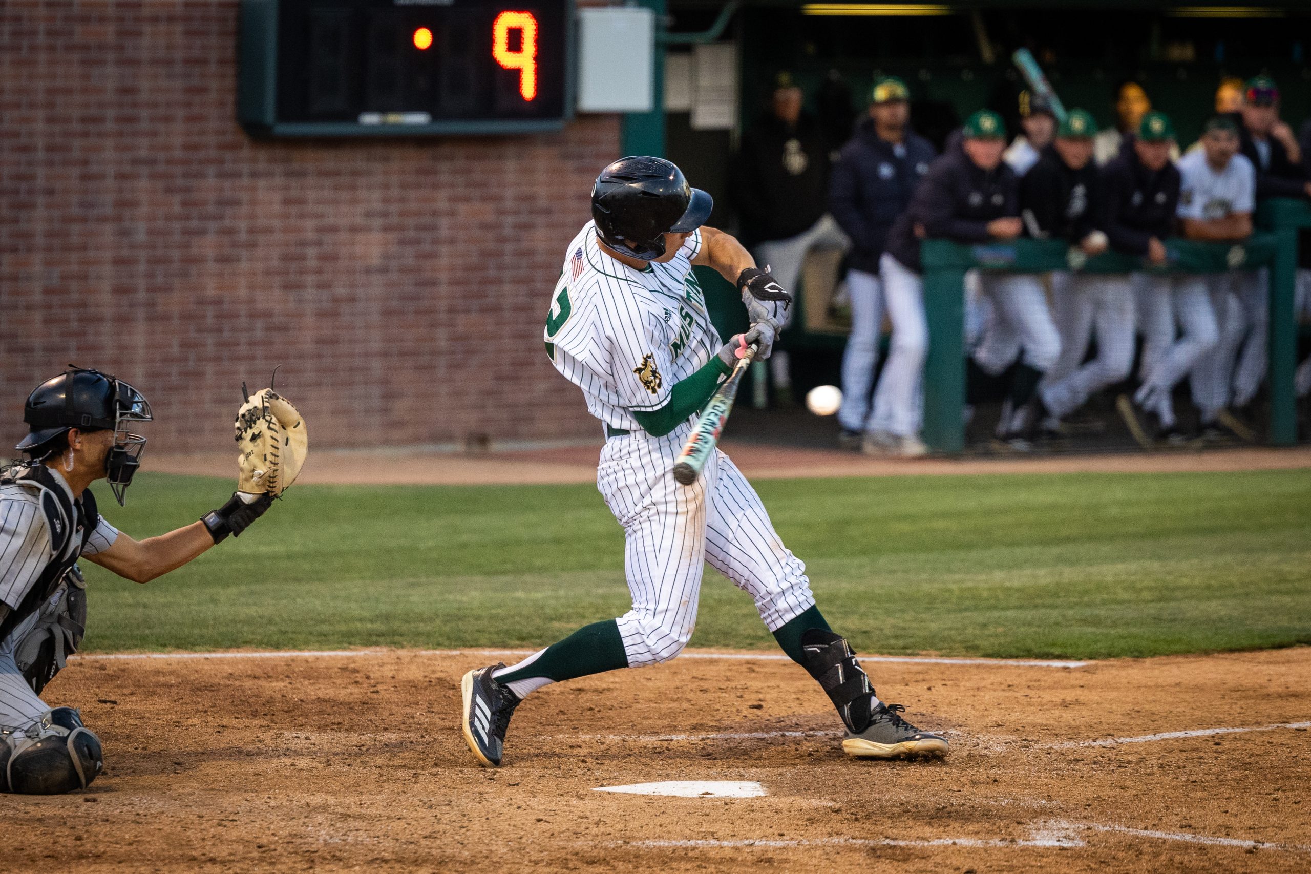 Cal Poly Baseball Finish as Big West Co-Champions - Mustang News